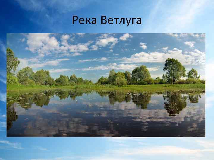 Река Ветлуга 