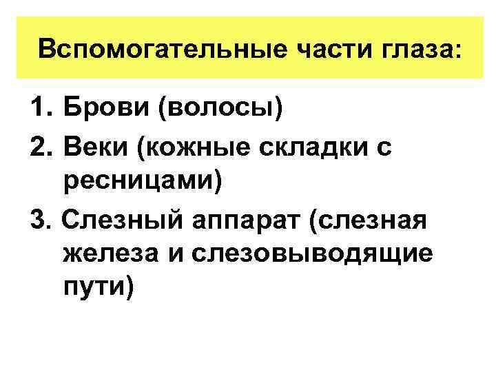 Вспомогательные части глаза: 1. Брови (волосы) 2. Веки (кожные складки с ресницами) 3. Слезный