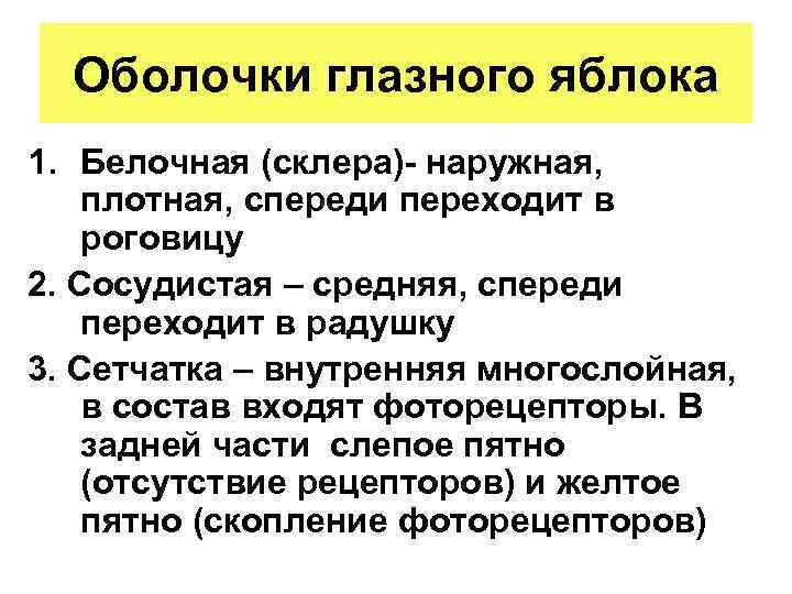 Оболочки глазного яблока 1. Белочная (склера)- наружная, плотная, спереди переходит в роговицу 2. Сосудистая