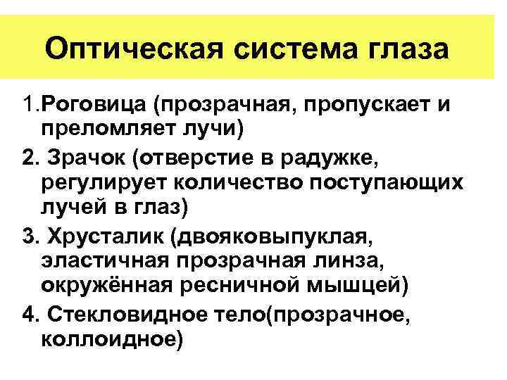 Оптическая система глаза 1. Роговица (прозрачная, пропускает и преломляет лучи) 2. Зрачок (отверстие в