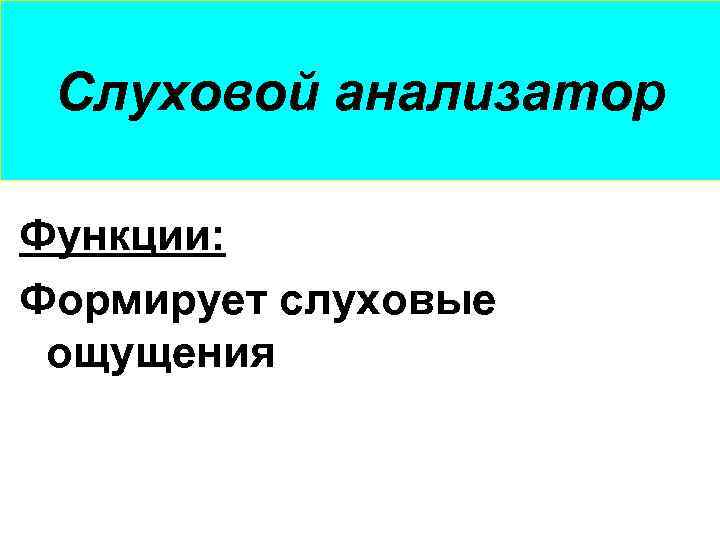 Слуховой анализатор Функции: Формирует слуховые ощущения 