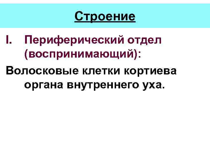 Строение I. Периферический отдел (воспринимающий): Волосковые клетки кортиева органа внутреннего уха. 