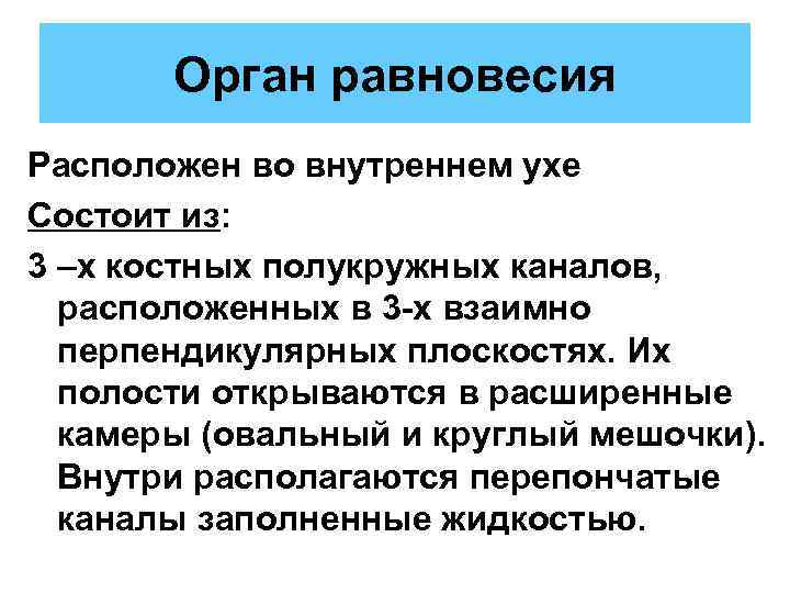 Орган равновесия Расположен во внутреннем ухе Состоит из: 3 –х костных полукружных каналов, расположенных