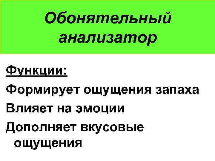 Обонятельный анализатор Функции: Формирует ощущения запаха Влияет на эмоции Дополняет вкусовые ощущения 