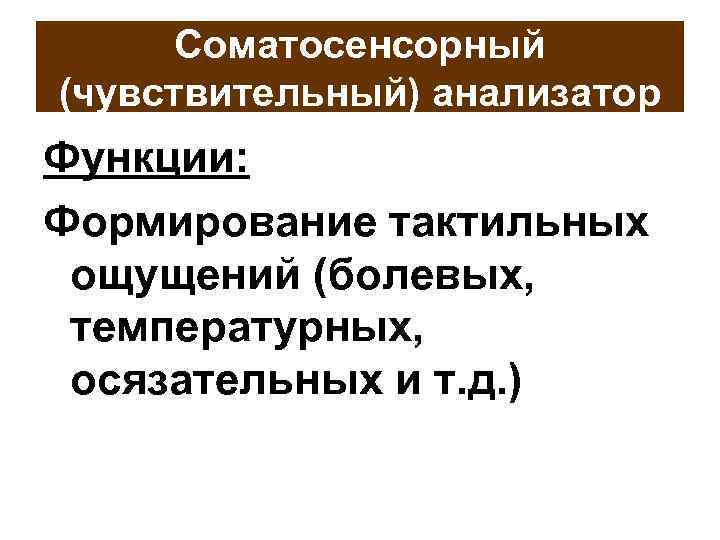 Соматосенсорный (чувствительный) анализатор Функции: Формирование тактильных ощущений (болевых, температурных, осязательных и т. д. )