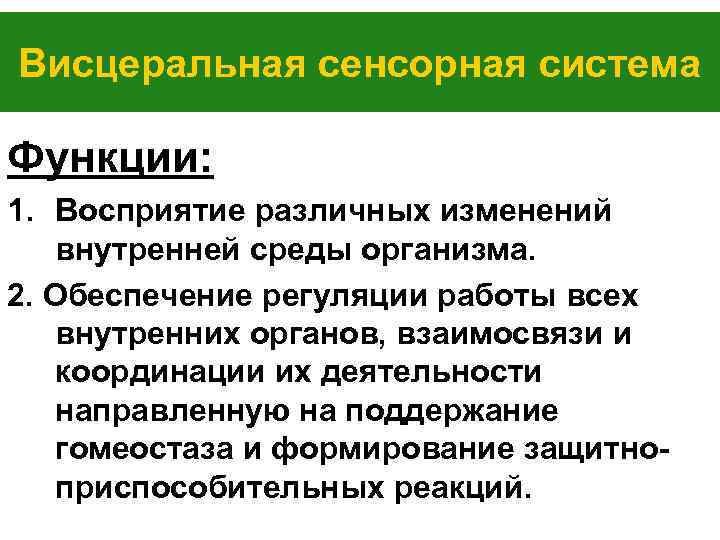 Висцеральная сенсорная система Функции: 1. Восприятие различных изменений внутренней среды организма. 2. Обеспечение регуляции