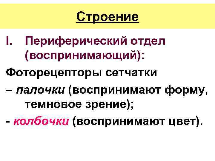 Строение I. Периферический отдел (воспринимающий): Фоторецепторы сетчатки – палочки (воспринимают форму, темновое зрение); -