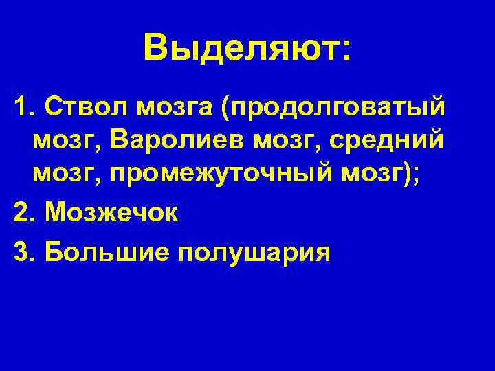 Выделяют: 1. Ствол мозга (продолговатый мозг, Варолиев мозг, средний мозг, промежуточный мозг); 2. Мозжечок