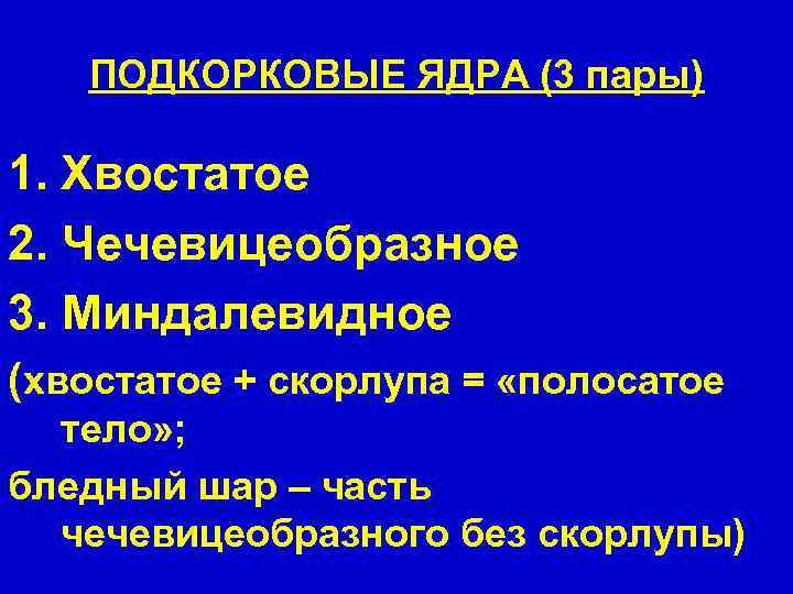 ПОДКОРКОВЫЕ ЯДРА (3 пары) 1. Хвостатое 2. Чечевицеобразное 3. Миндалевидное (хвостатое + скорлупа =