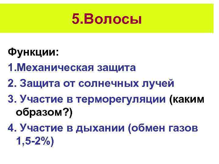 5. Волосы Функции: 1. Механическая защита 2. Защита от солнечных лучей 3. Участие в