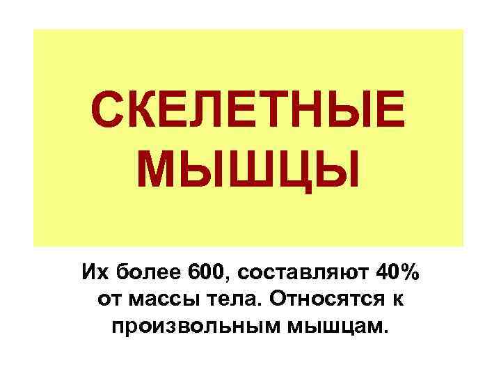 СКЕЛЕТНЫЕ МЫШЦЫ Их более 600, составляют 40% от массы тела. Относятся к произвольным мышцам.