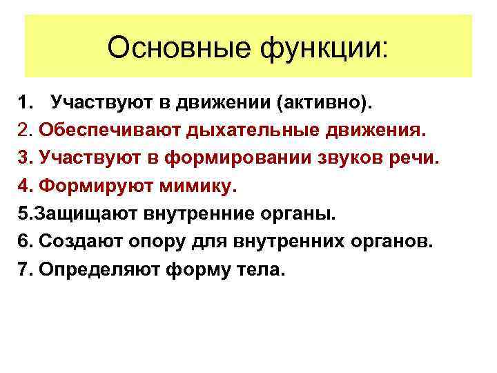 Основные функции: 1. Участвуют в движении (активно). 2. Обеспечивают дыхательные движения. 3. Участвуют в