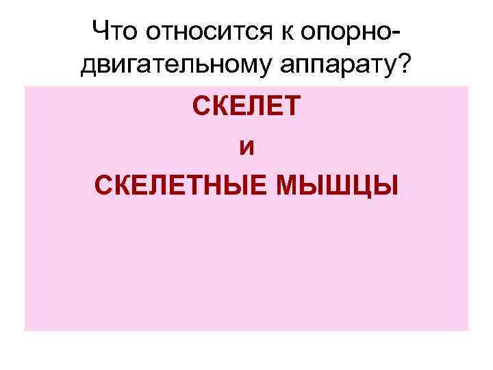 Что относится к опорнодвигательному аппарату? СКЕЛЕТ и СКЕЛЕТНЫЕ МЫШЦЫ 