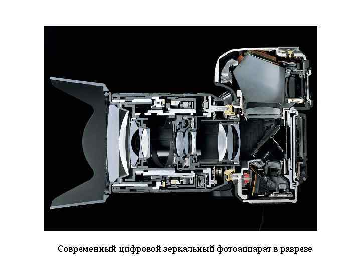 Современный цифровой зеркальный фотоаппарат в разрезе 