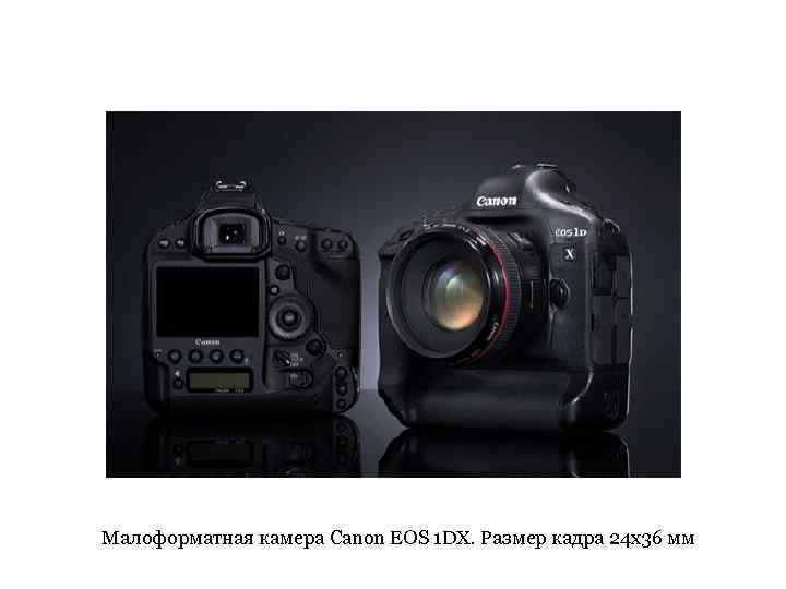 Малоформатная камера Canon EOS 1 DX. Размер кадра 24 x 36 мм 