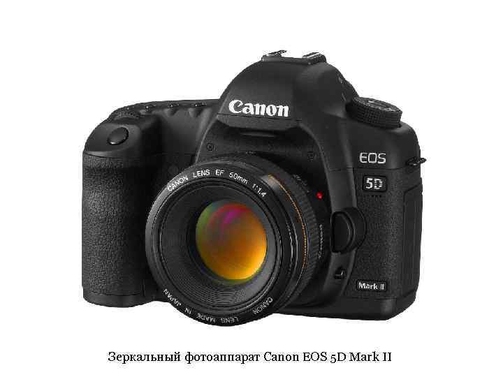 Зеркальный фотоаппарат Canon EOS 5 D Mark II 