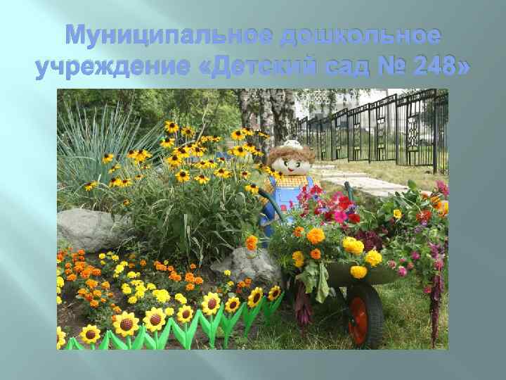 Муниципальное дошкольное учреждение «Детский сад № 248» 