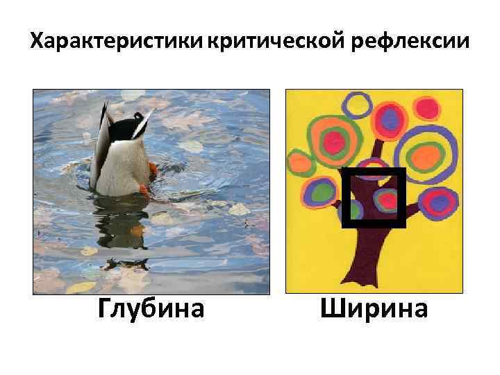 Характеристики критической рефлексии Глубина Ширина 