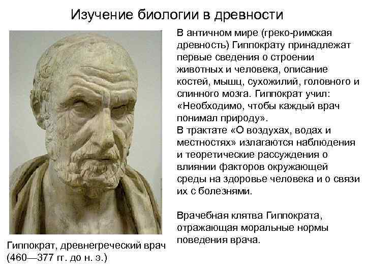 Изучение биологии в древности В античном мире (греко римская древность) Гиппократу принадлежат первые сведения