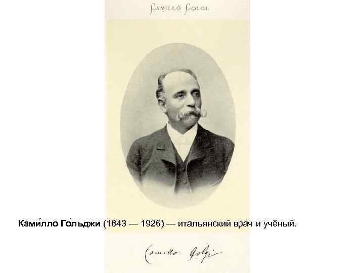 Ками лло Го льджи (1843 — 1926) — итальянский врач и учёный. 