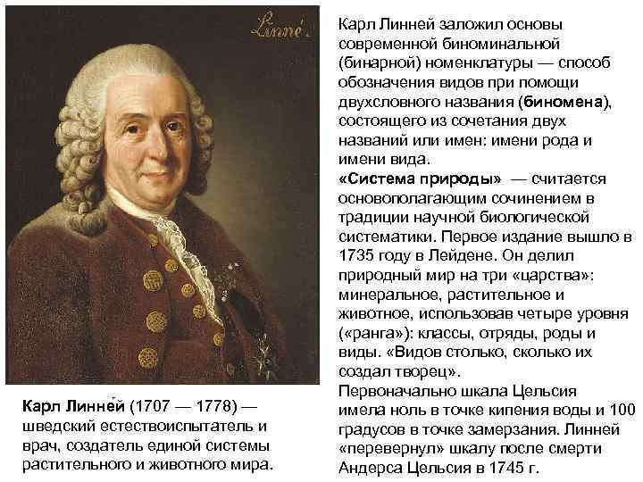 Карл Линне й (1707 — 1778) — шведский естествоиспытатель и врач, создатель единой системы