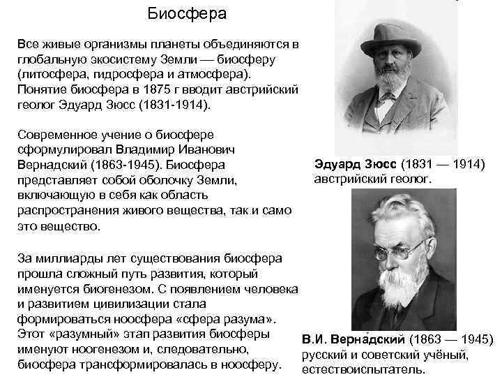 Биосфера Все живые организмы планеты объединяются в глобальную экосистему Земли биосферу (литосфера, гидросфера и