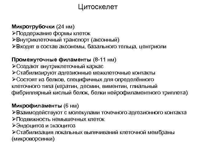 Цитоскелет Микротрубочки (24 нм) ØПоддержание формы клеток ØВнутриклеточный транспорт (аксонный) ØВходят в состав аксонемы,