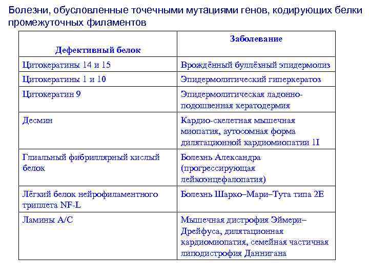 Болезни, обусловленные точечными мутациями генов, кодирующих белки промежуточных филаментов Заболевание Дефективный белок Цитокератины 14
