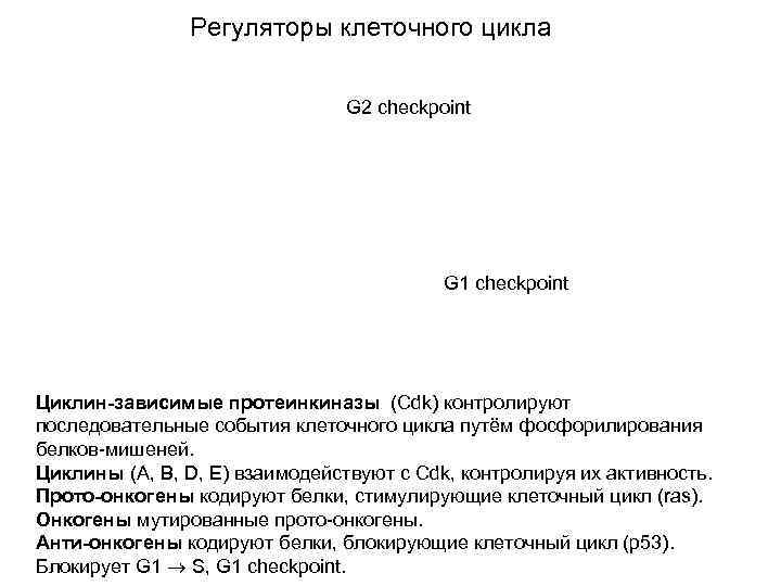 Регуляторы клеточного цикла G 2 checkpoint G 1 checkpoint Циклин-зависимые протеинкиназы (Cdk) контролируют последовательные