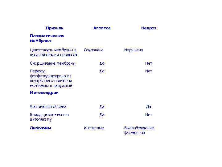 Признак Апоптоз Некроз Плазматическая мембрана Целостность мембраны в поздней стадии процесса Сохранена Нарушена Сморщивание