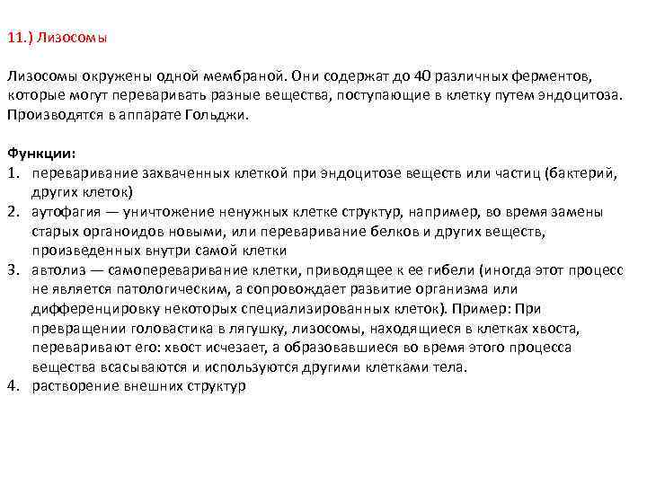 11. ) Лизосомы окружены одной мембраной. Они содержат до 40 различных ферментов, которые могут