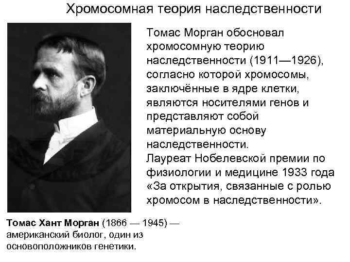 Хромосомная теория наследственности Томас Морган обосновал хромосомную теорию наследственности (1911— 1926), согласно которой хромосомы,