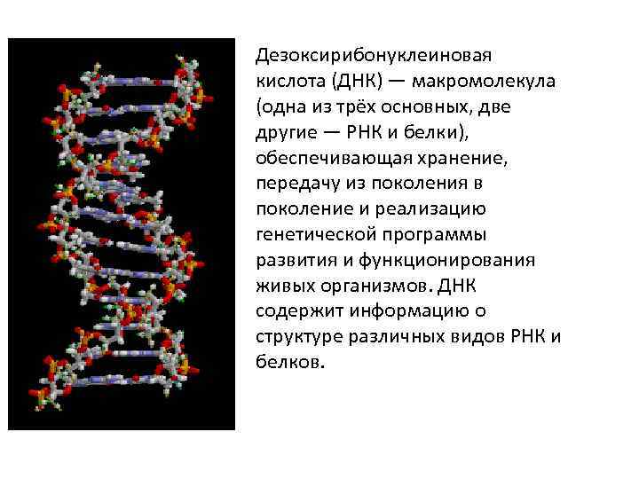 Кислота днк. Строение макромолекулы РНК. Макромолекула ДНК. Кислота дезоксирибонуклеиновая кислота. Линейная макромолекула ДНК.