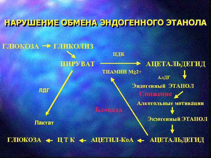 НАРУШЕНИЕ ОБМЕНА ЭНДОГЕННОГО ЭТАНОЛА ГЛЮКОЗА ГЛИКОЛИЗ ПДК ПИРУВАТ АЦЕТАЛЬДЕГИД ТИАМИН Mg 2+ Ал. ДГ