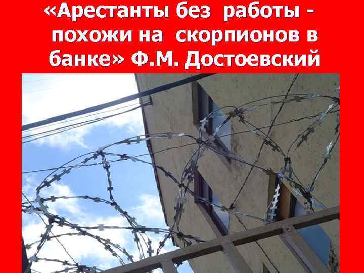  «Арестанты без работы - похожи на скорпионов в банке» Ф. М. Достоевский 