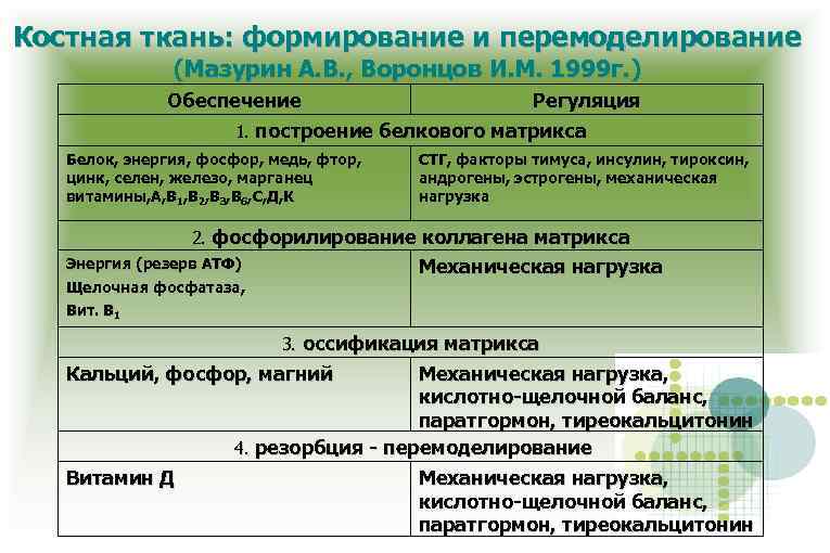 Костная ткань: формирование и перемоделирование (Мазурин А. В. , Воронцов И. М. 1999 г.