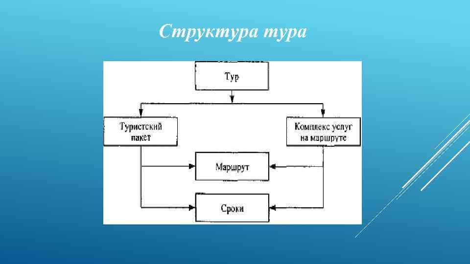 Структура турпродукта схема