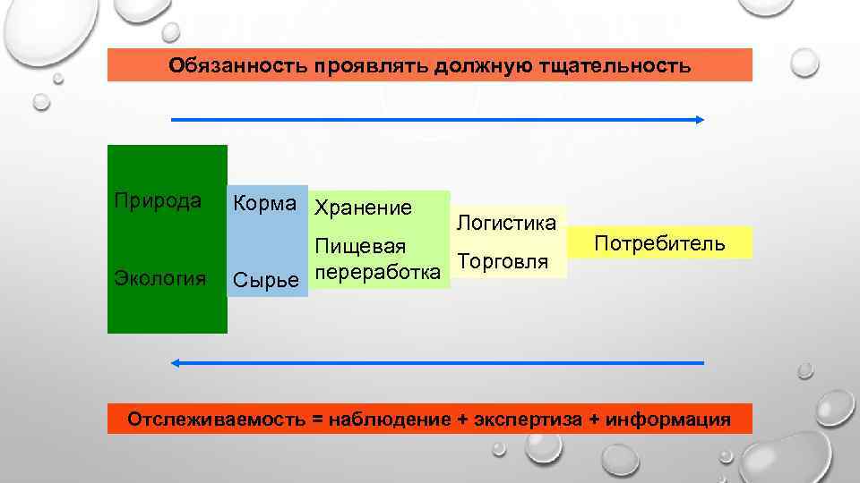 Обязанность проявлять должную тщательность Природа Корма Хранение Экология Пищевая переработка Торговля Сырье Логистика Потребитель