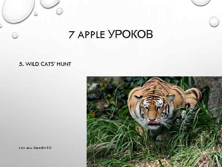 7 APPLE УРОКОВ 5. WILD CATS’ HUNT к. э. н. доц. Зарембо В. Е.