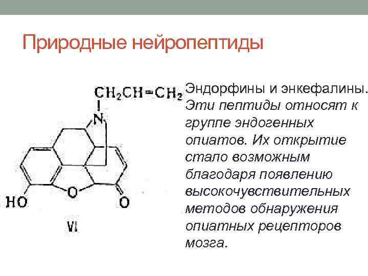 Где эндорфины. Эндорфин гормон формула. Эндорфин гормон формула химическая. Эндорфин структура. Синтез эндорфинов.