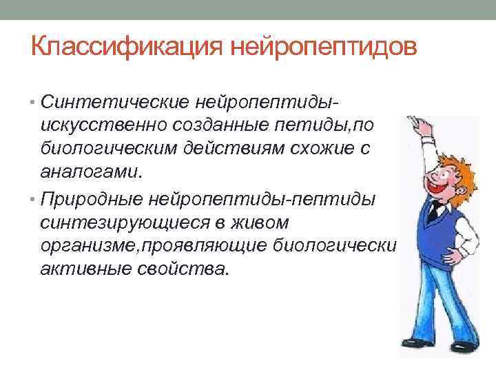 Классификация нейропептидов • Синтетические нейропептиды- искусственно созданные петиды, по биологическим действиям схожие с аналогами.