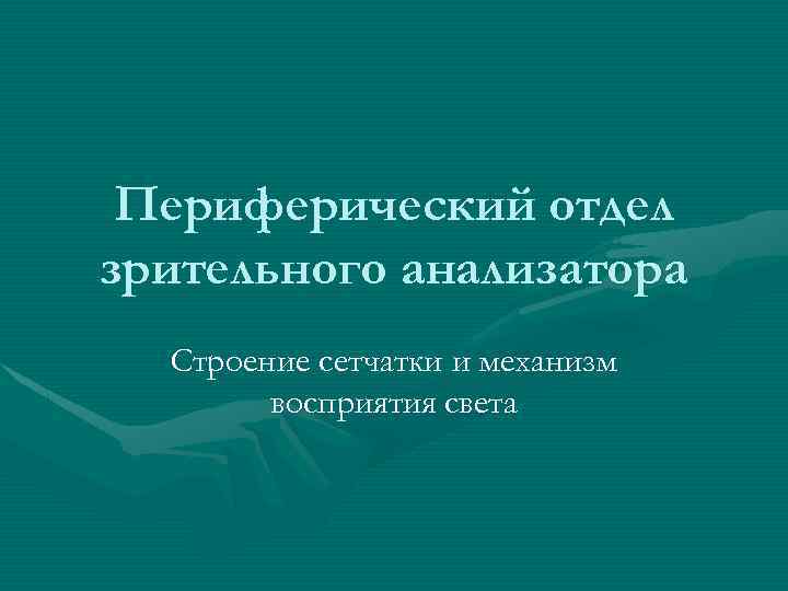 Периферический отдел зрительного анализатора Строение сетчатки и механизм восприятия света 