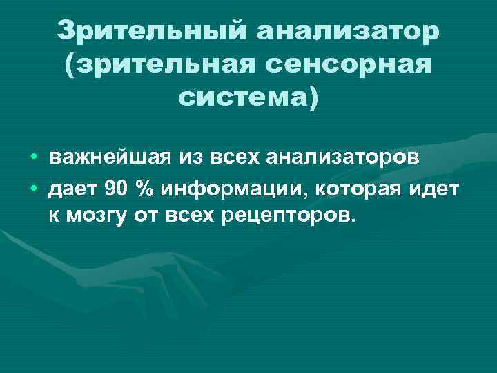 Зрительный анализатор (зрительная сенсорная система) • важнейшая из всех анализаторов • дает 90 %