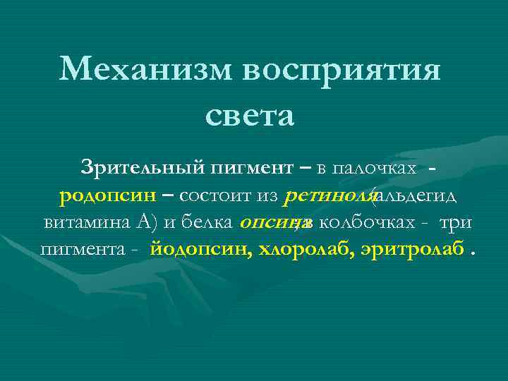 Механизм восприятия света Зрительный пигмент – в палочках родопсин – состоит из ретиноля (альдегид