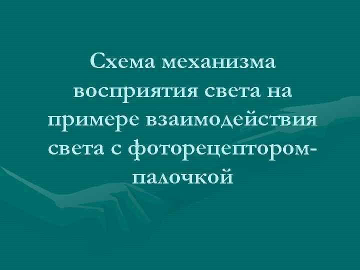 Схема механизма восприятия света на примере взаимодействия света с фоторецепторомпалочкой 