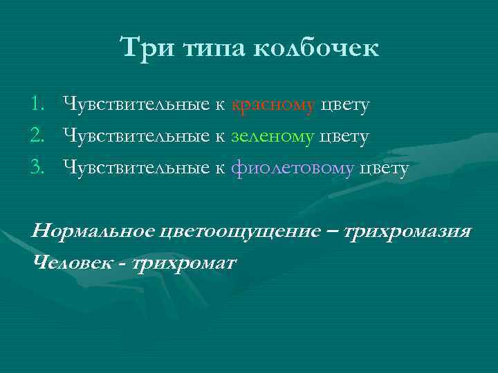 Три типа колбочек 1. 2. 3. Чувствительные к красному цвету Чувствительные к зеленому цвету