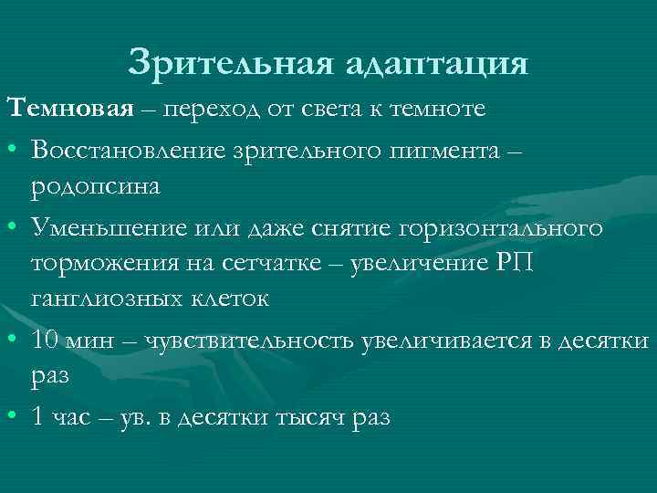 Зрительная адаптация Темновая – переход от света к темноте • Восстановление зрительного пигмента –