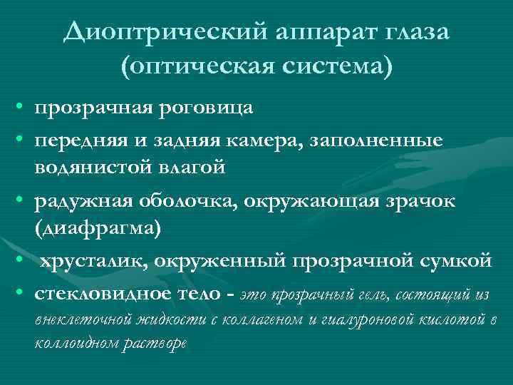 Диоптрический аппарат глаза (оптическая система) • прозрачная роговица • передняя и задняя камера, заполненные