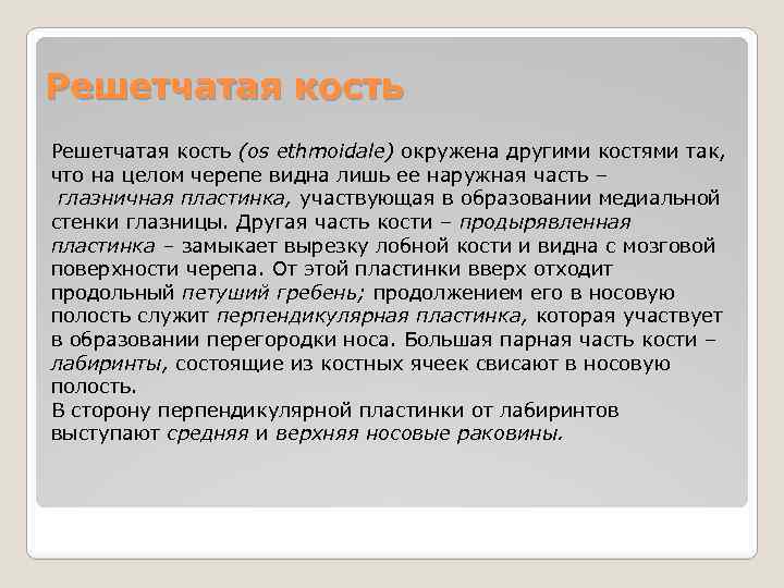 Решетчатая кость (os ethmoidale) окружена другими костями так, что на целом черепе видна лишь