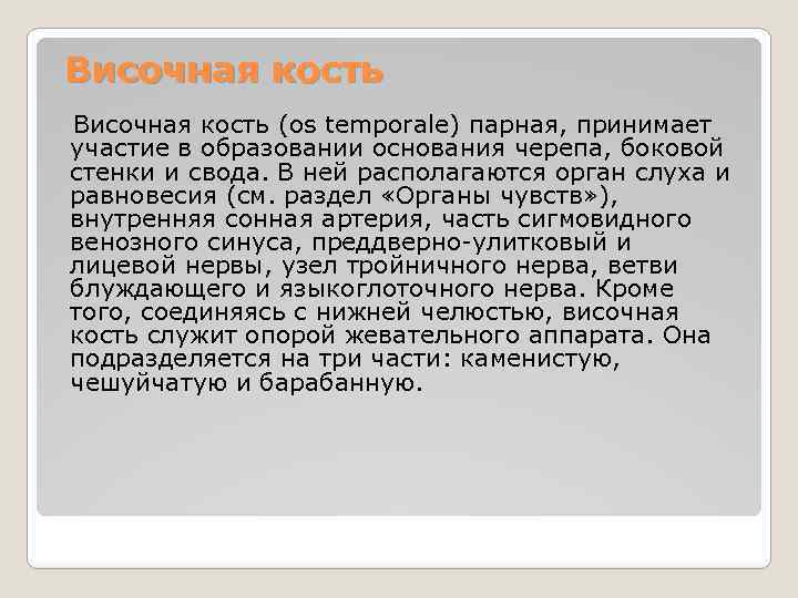 Височная кость (os temporale) парная, принимает участие в образовании основания черепа, боковой стенки и